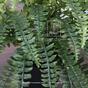 Mesterséges növény Király páfrány 100 cm