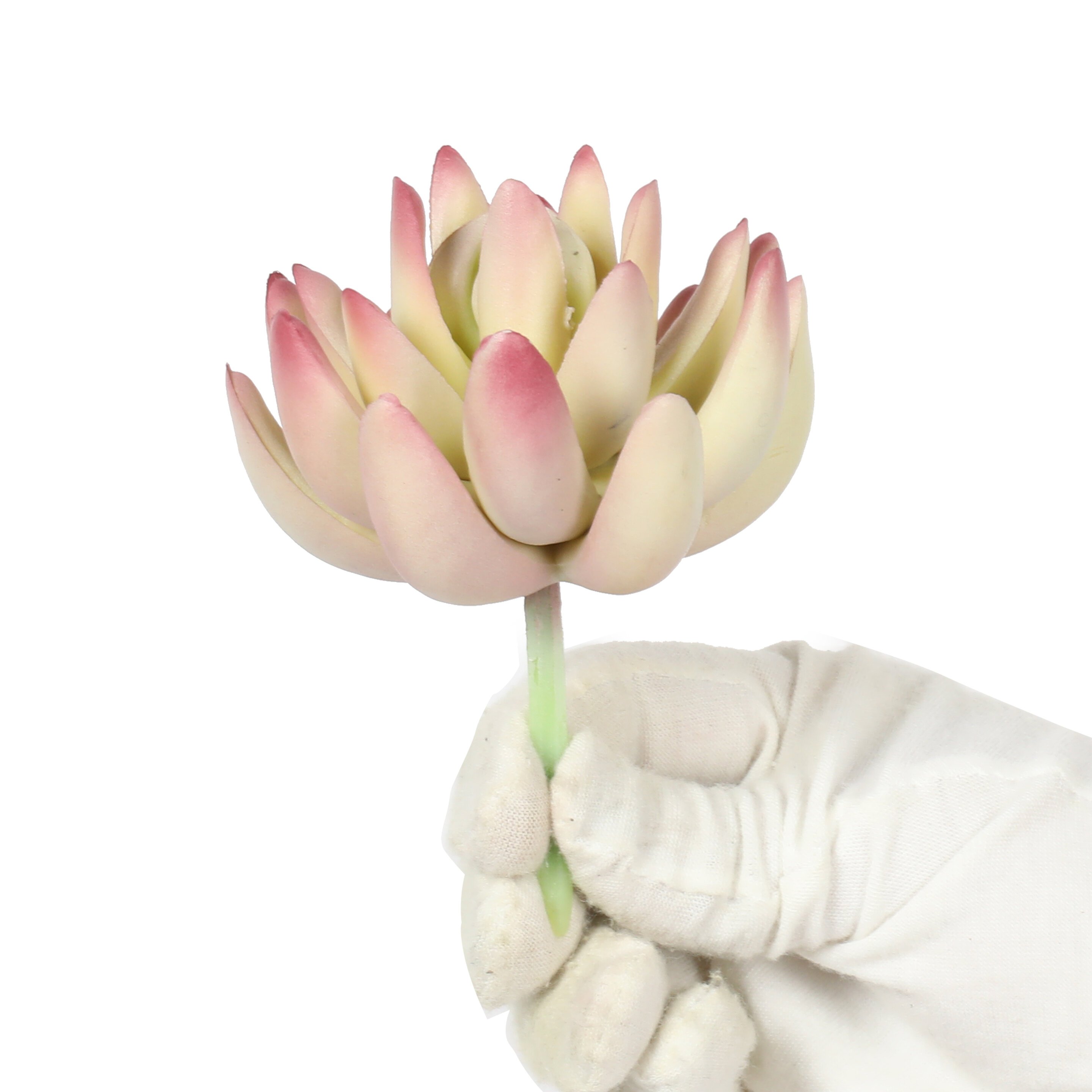 Mesterséges növény Lotus Echeveria 10 cm