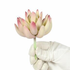Mesterséges növény Lotus Echeveria 10 cm