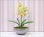 Mesterséges növény Orchidea Cymbidium világoszöld 50 cm