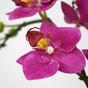 Mesterséges növény Orchidea lila 50 cm