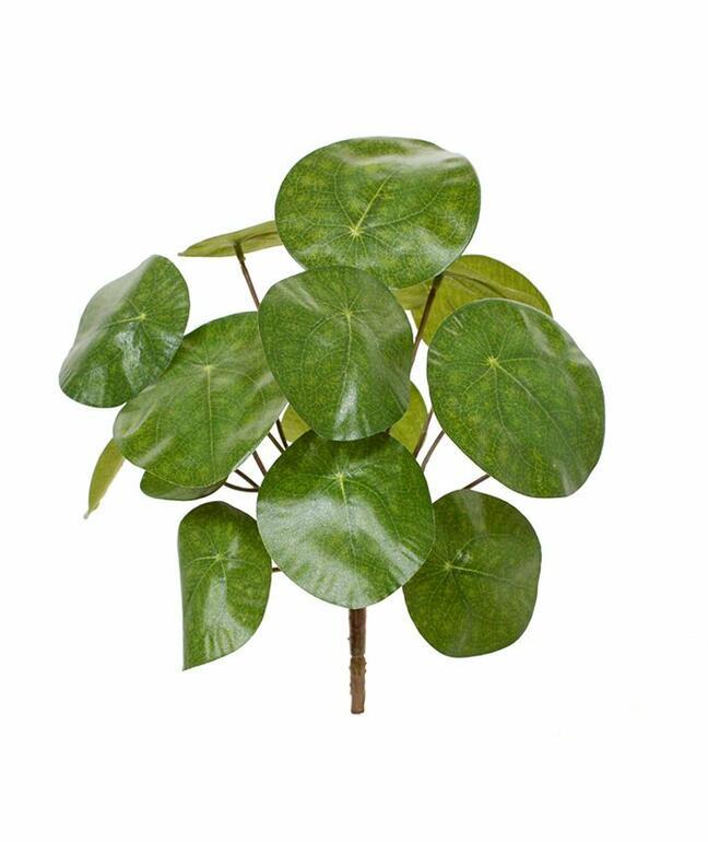 Mesterséges növény Pilea peperomioides 20 cm