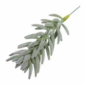 Mesterséges növény Senecio haworthii 21 cm
