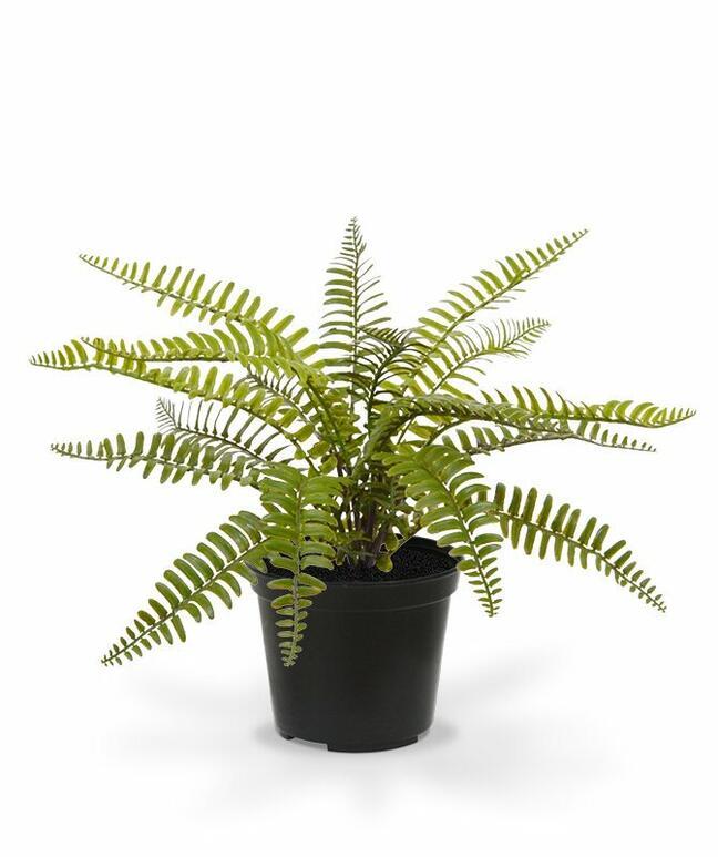 Mesterséges növény Spleenwort 35 cm