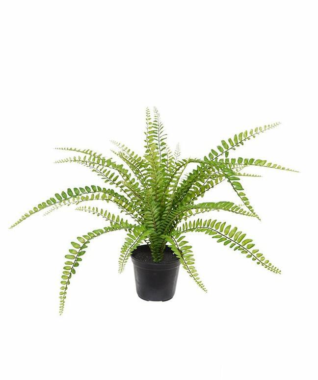Mesterséges növény Spleenwort 45 cm