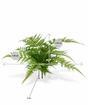 Mesterséges növény Szárny 30 cm