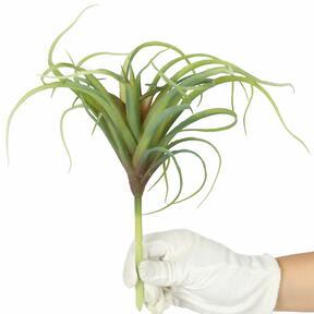 Mesterséges növény Tillandsia 15 cm
