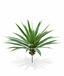 Mesterséges növény Yucca 55 cm