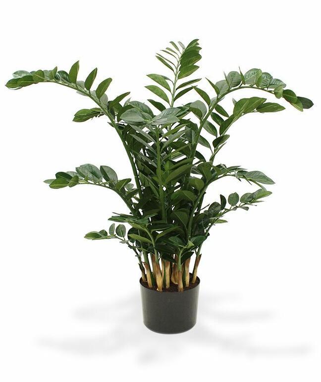 Mesterséges növény Zamiokulkas 120 cm