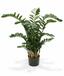 Mesterséges növény Zamiokulkas 120 cm
