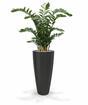 Mesterséges növény Zamiokulkas 120 cm