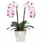 Mesterséges orchidea 43 cm