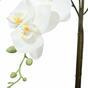 Mesterséges orchidea fehér 65 cm