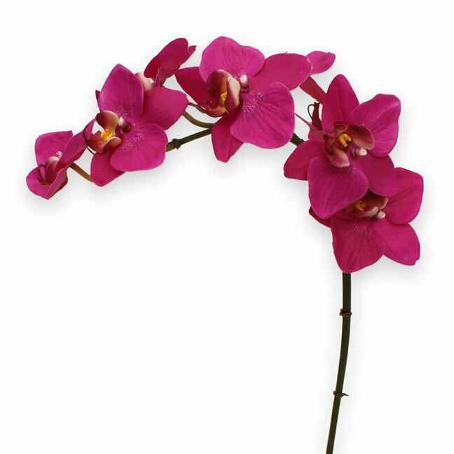 Mesterséges orchidea növény lila 80 cm