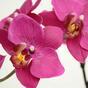 Mesterséges orchidea növény lila 80 cm