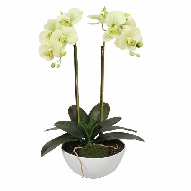 Mesterséges vajas orchidea 50 cm
