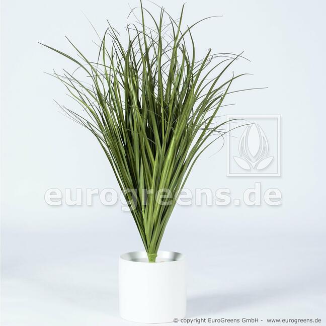 Mesterségesen barázdált fűcsomó Közös nád 80 cm