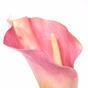 Művirág Kala rózsaszín 55 cm