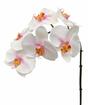 Orchidea mesterséges ága rózsaszín-fehér 55 cm