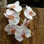 Orchidea mesterséges ága rózsaszín-fehér 55 cm