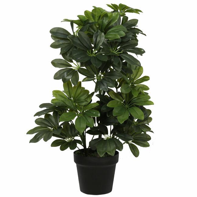 Shefler mesterséges növény 60 cm